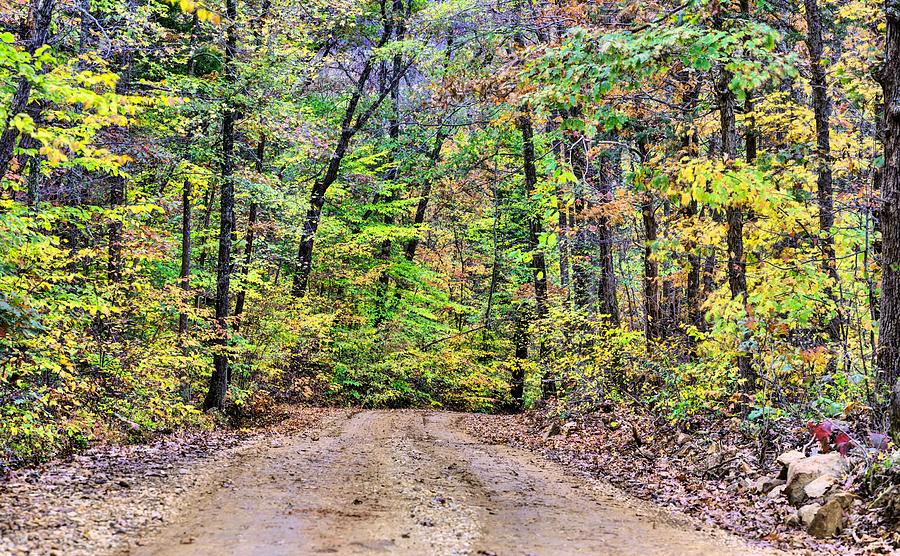 Arkansas Scenic Back Roads Photograph by JC Findley