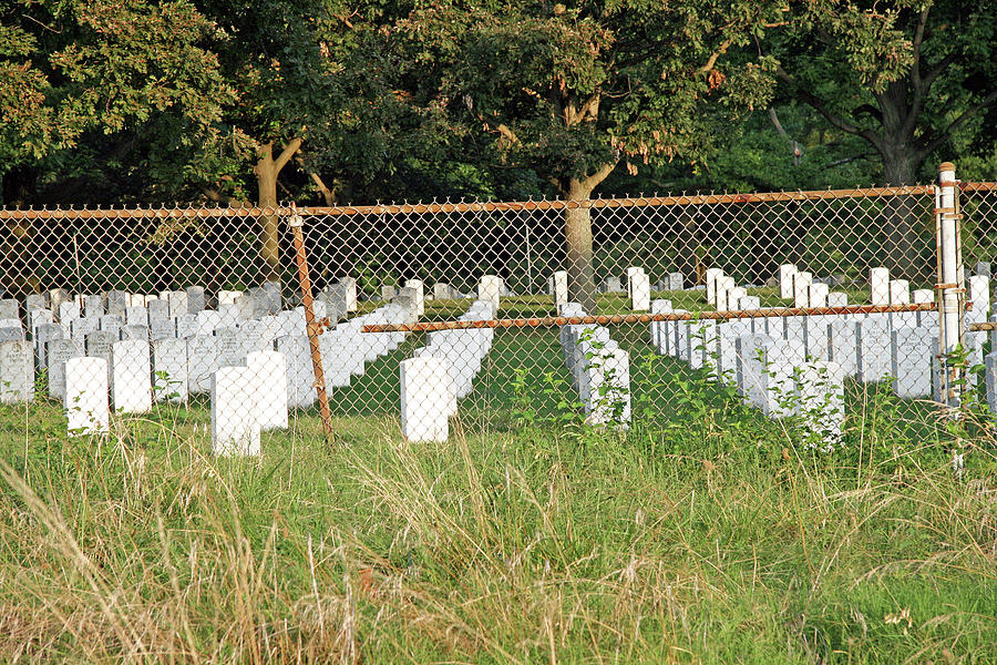 Arlington National Cemetery Behind a Rusting barbed Wire Fence Photograph by Cora Wandel