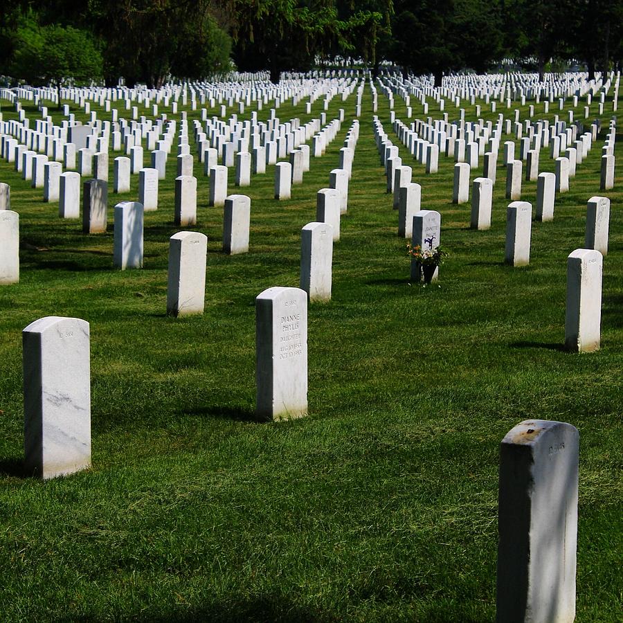 Arlington Cemetery during Spring Photograph by Christopher Duncan ...