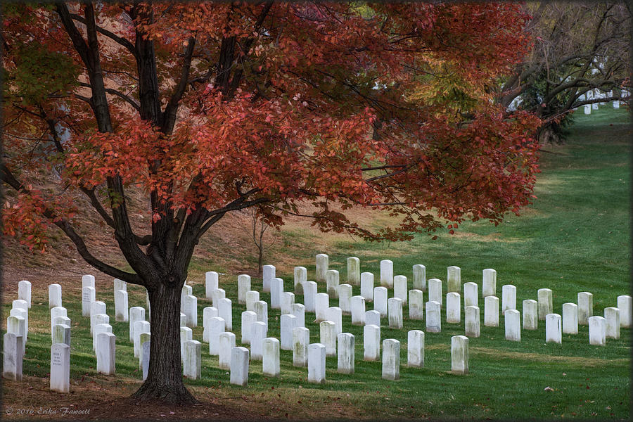 Arlington Cemetery Photograph by Erika Fawcett