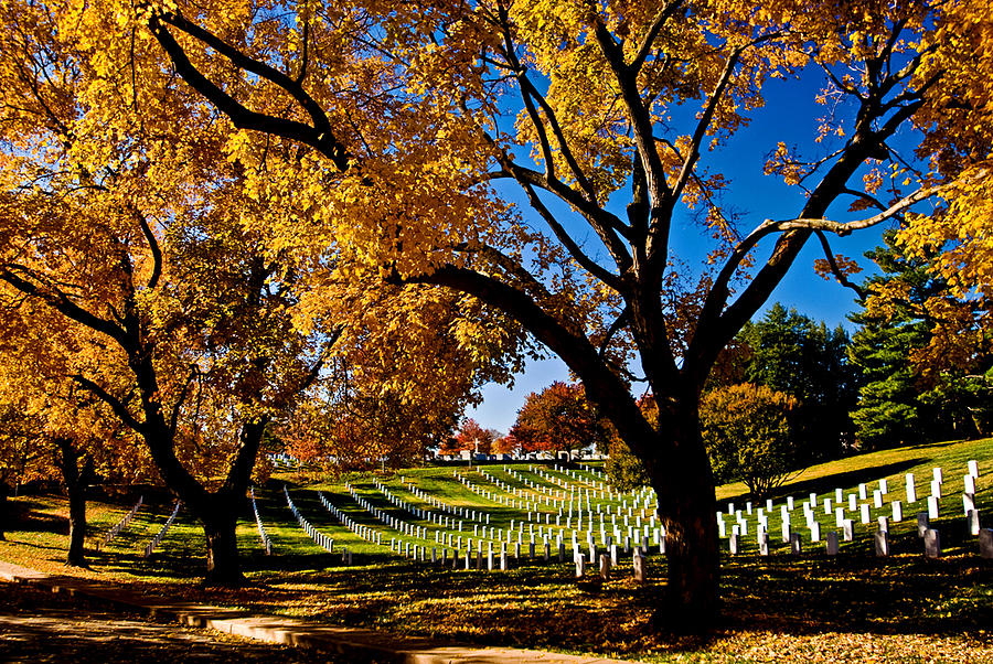 Arlington Cemetery in the fall Photograph by Bill Jonscher