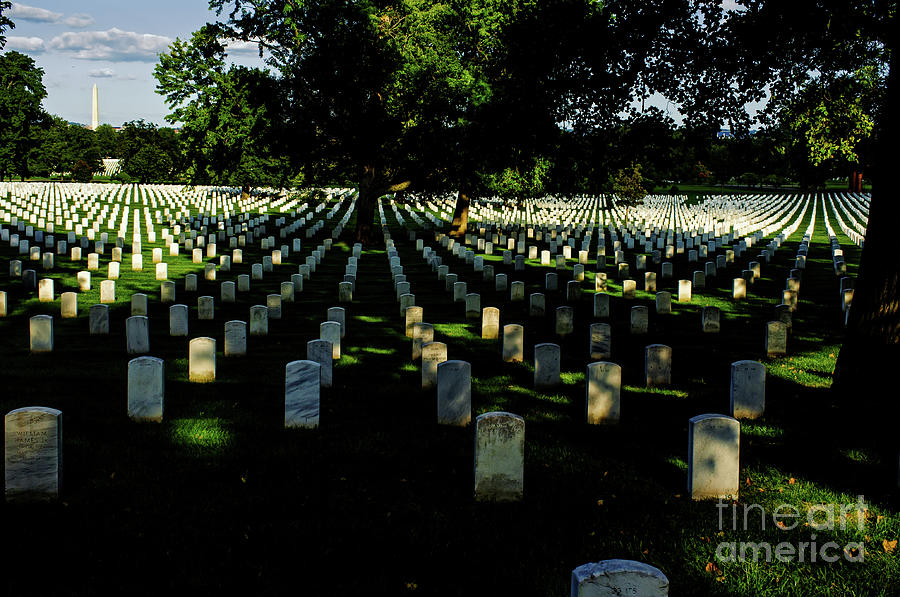 Arlington Cemetery Photograph by Jonas Luis