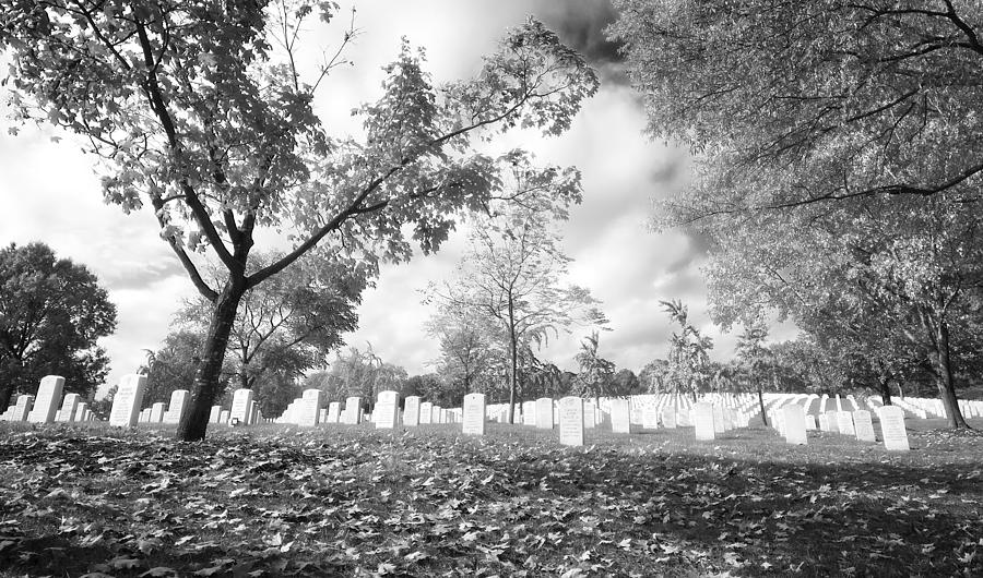 Arlington in Black and White Photograph by Mark Andrew Thomas