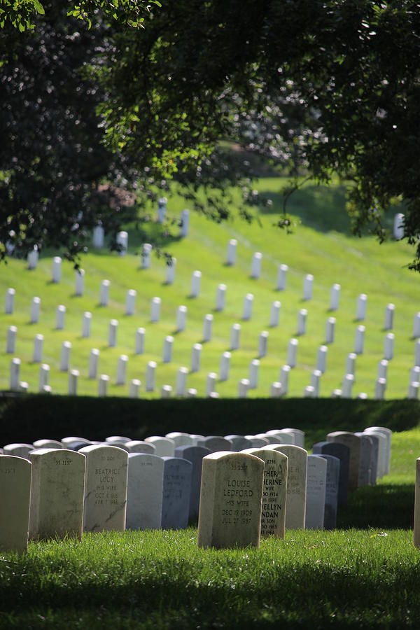 Arlington Photograph By Jennifer Taylor - Fine Art America