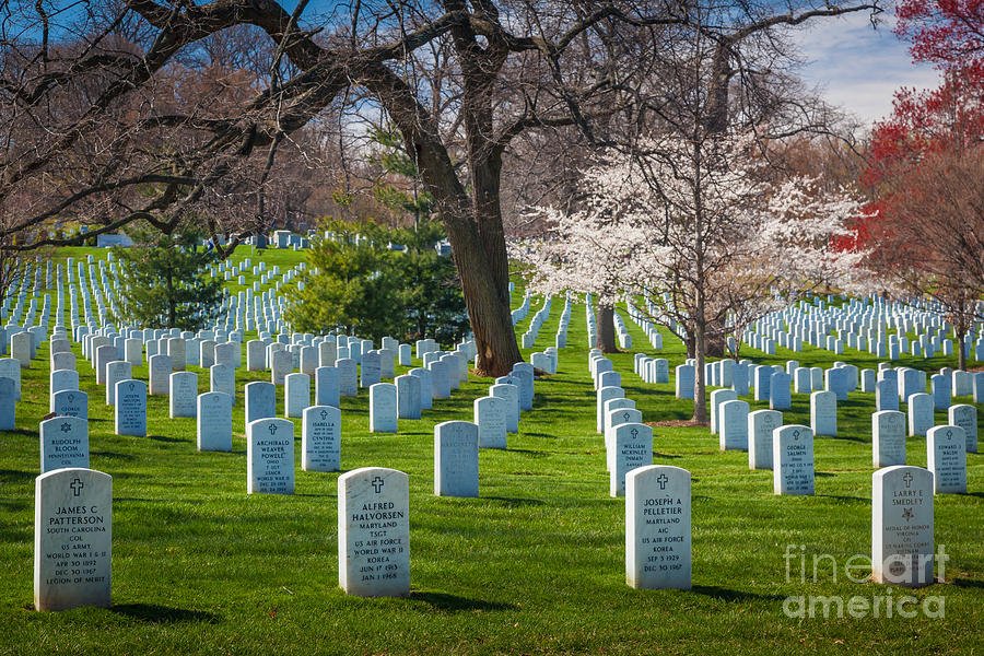 Architecture Photograph - Arlington National Cemetery by Inge Johnsson