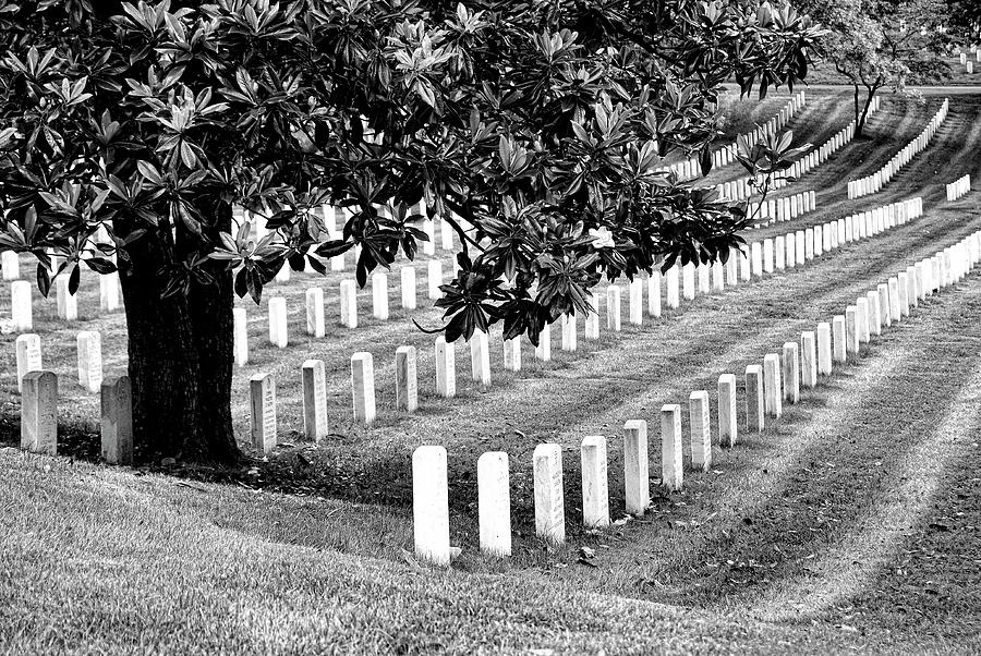 Arlington National Cemetery # 2 Photograph by Allen Beatty