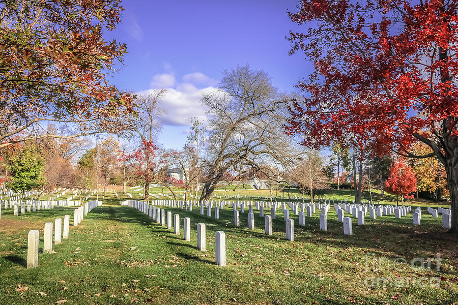 Arlington National Cemetery Photograph by Claudia M Photography