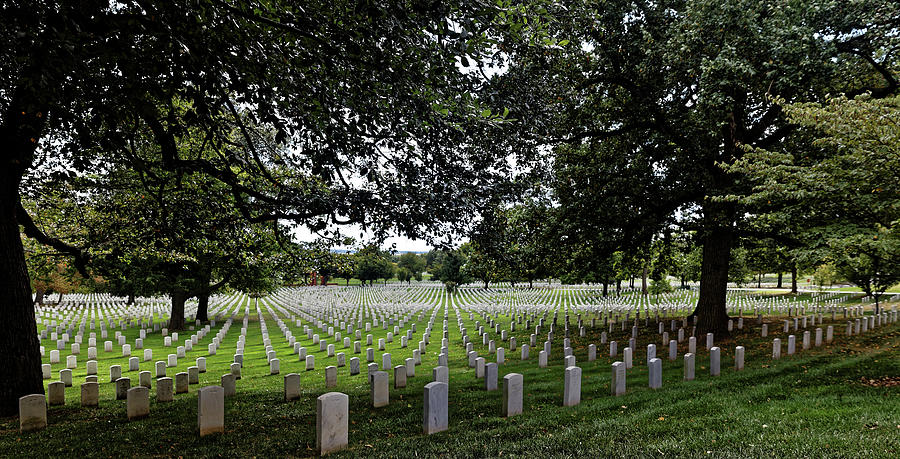 Arlington National Cemetery Photograph by Doolittle Photography and Art