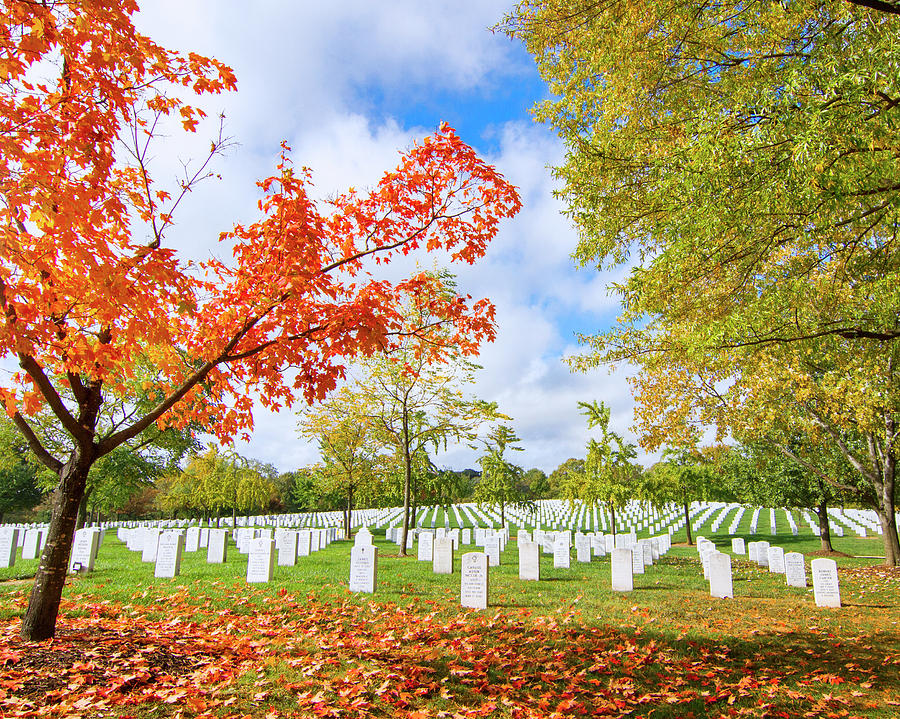 Arlington National Cemetery Fall Colors Photograph by Mark Andrew Thomas