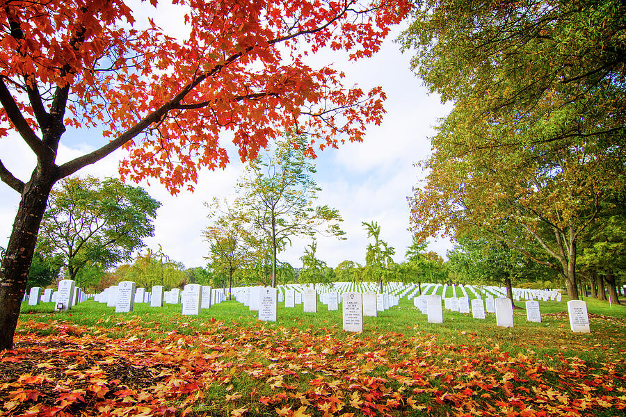 Arlington National Cemetery Photograph by Mark Andrew Thomas