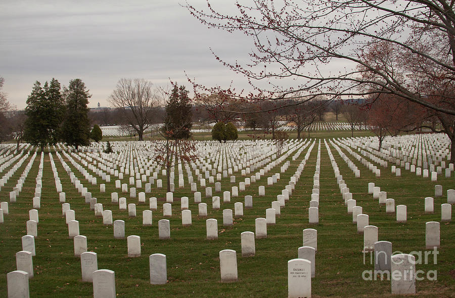 Arlington National Cemetery   Photograph by Ruth Jolly