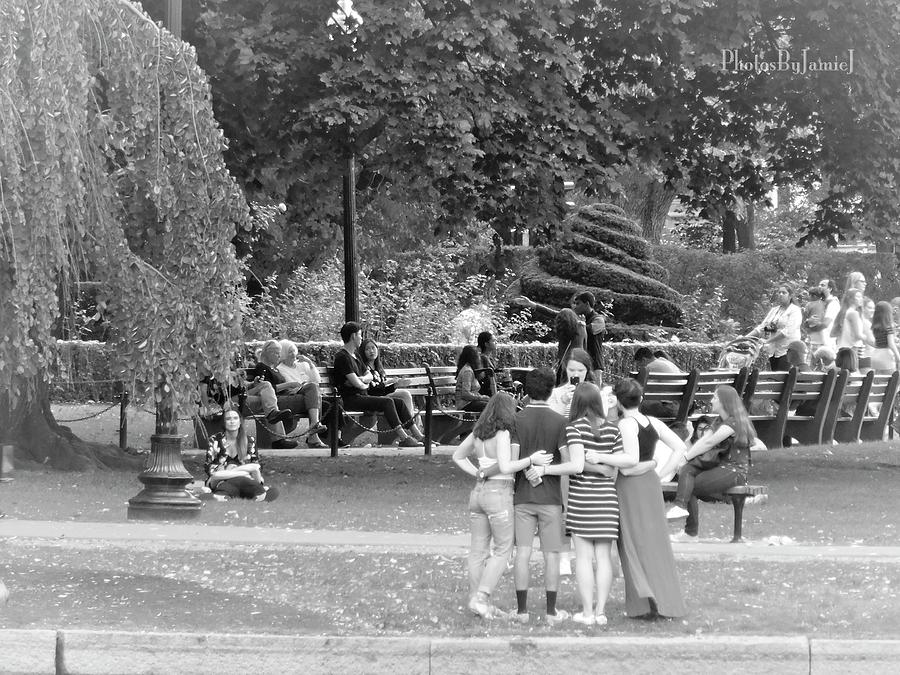 Arlington Park Snap Shot Photograph