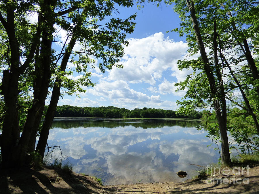 Summer Photograph - Arlington Reservoir by Leara Nicole Morris-Clark