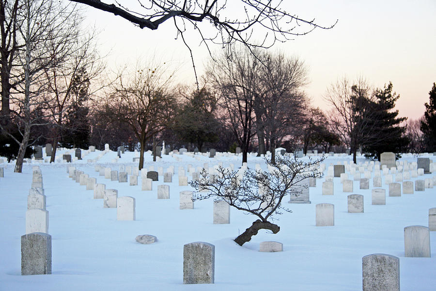 Arlington Tombstones with Snow and Trees Photograph by Cora Wandel