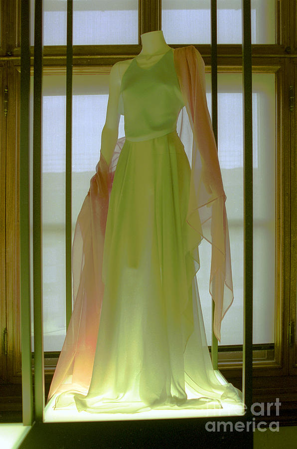 armani fantasy gown