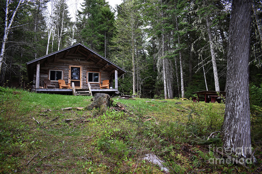 Aroostooks Forks Cabin Photograph by Skip Willits