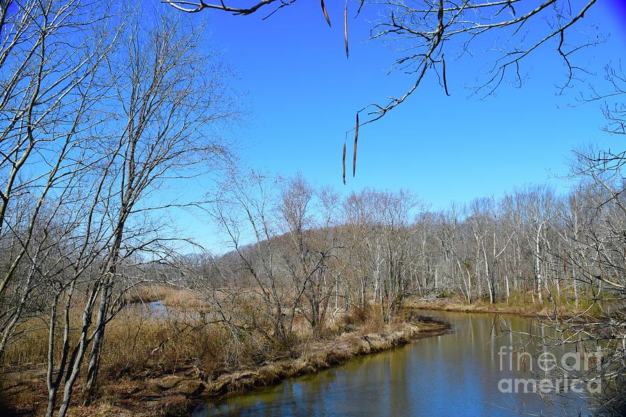 Around the Bend at Mantua Creek Photograph by Barrie Stark