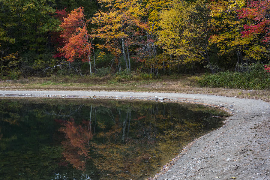 Around the Bend- Hiking Walden Pond in Autumn Photograph by Toby McGuire