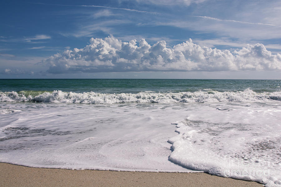 Beach Photograph - Around the ocean by Zina Stromberg