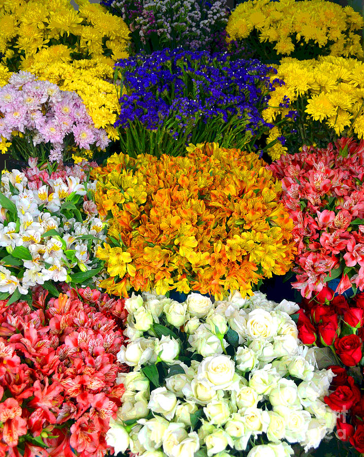 Array Of Flowers For You Photograph by Christopher Shellhammer