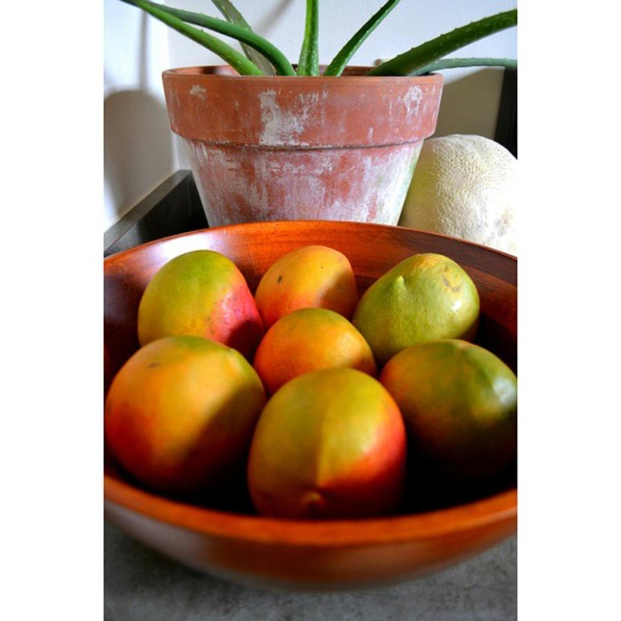 Mango Photograph - Arrgghh. I Want To Eat These Beautiful by Kathryn Reilly
