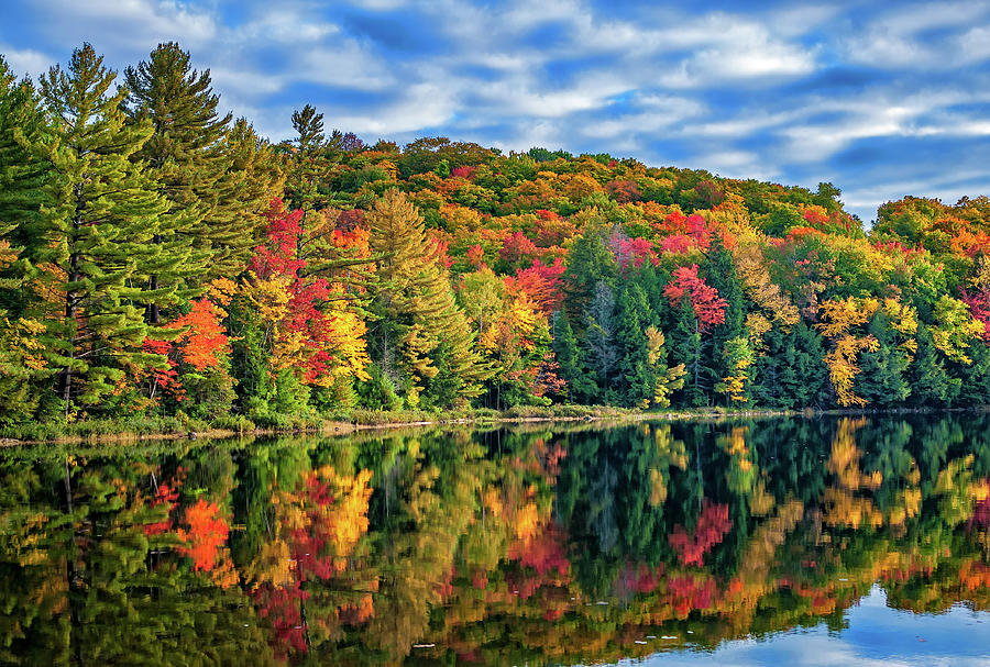 Arrowhead Provincial Park Photograph by Steve Harrington | Fine Art America