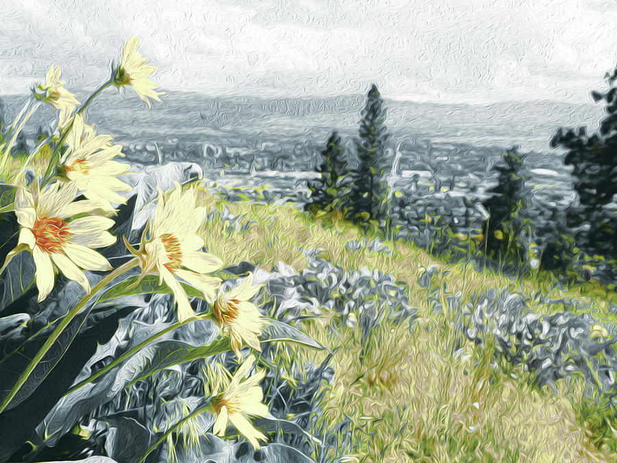 Spring Digital Art - Arrowleaf Balsamroom White Painting on Knox Mountain by Safia Designs