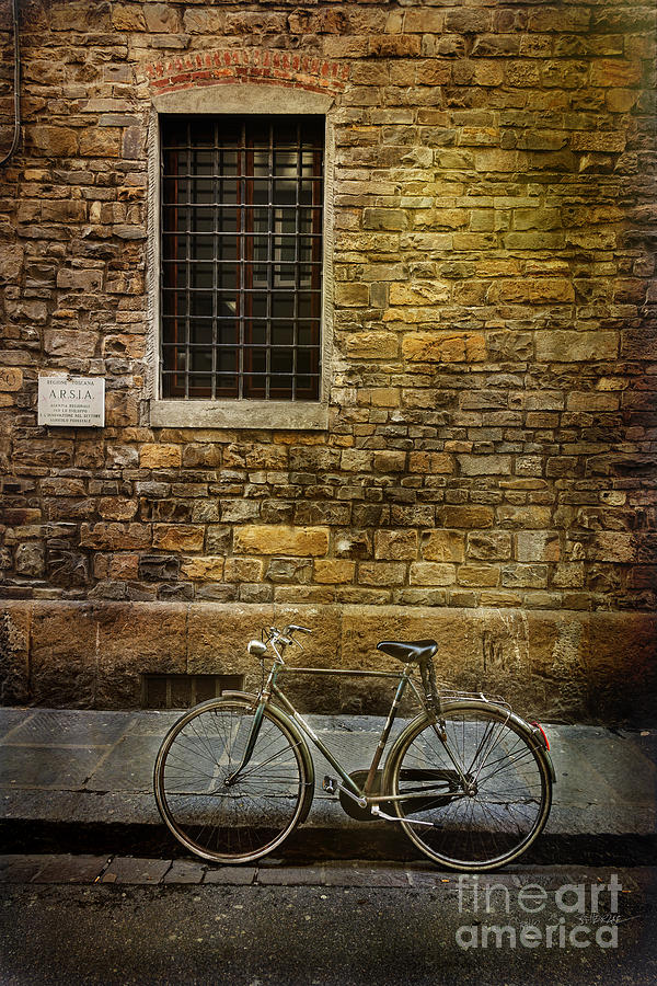 Arsia Bicycle Photograph by Craig J Satterlee