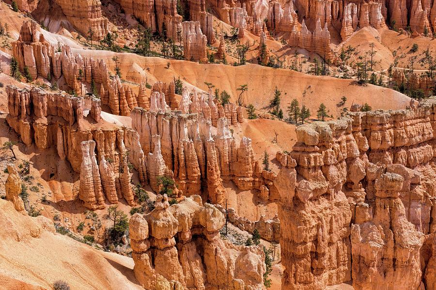 Art by Nature, Bryce Canyon Photograph by Peggy Hughes