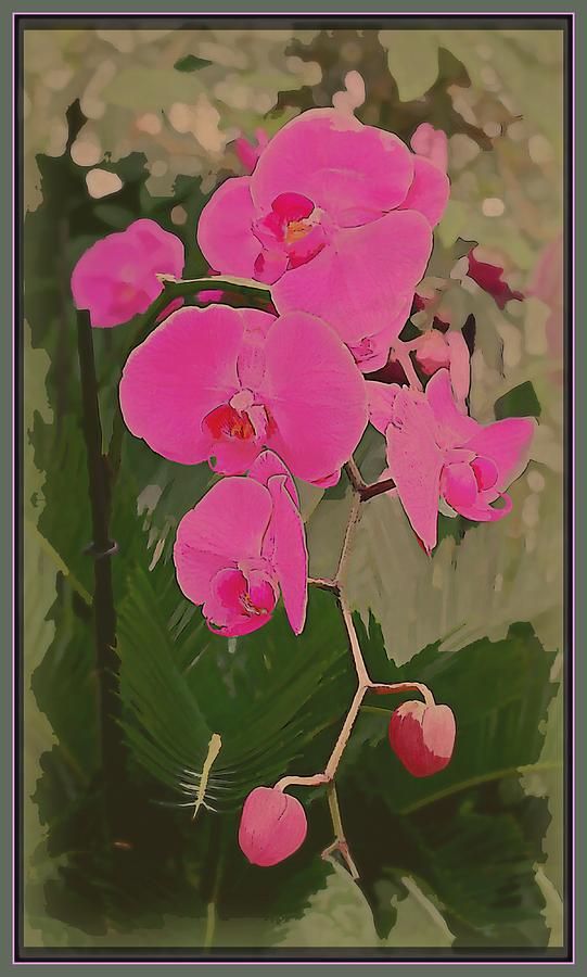 Art Deco Orchids Photograph by Mindy Newman