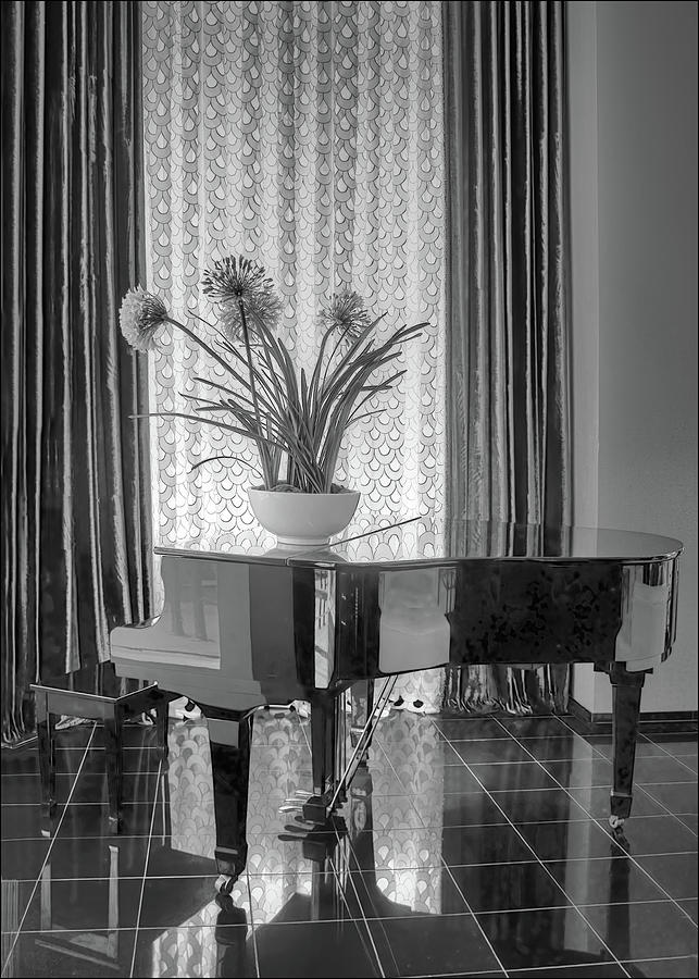 Art Deco - Piano Photograph by Nikolyn McDonald