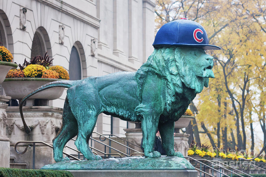 Art Institute Cubs Fan Photograph by Patty Colabuono