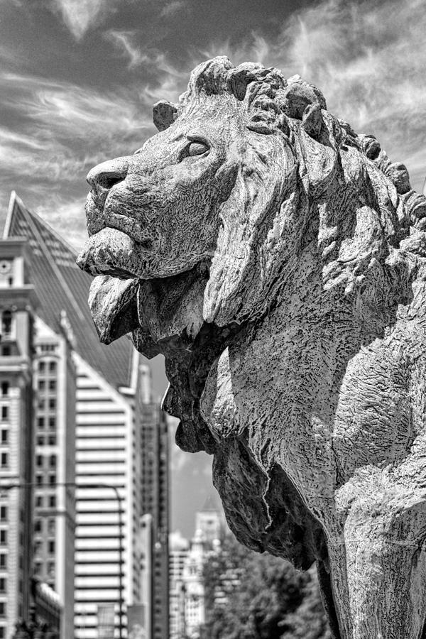 Art Institute in Chicago Lion Black and White Photograph by Christopher Arndt