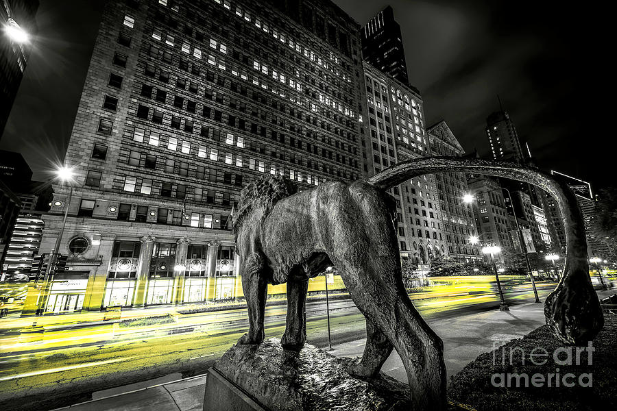 Chicago Photograph - Art Institute Lion II - Chicago, IL by Demi Buckley