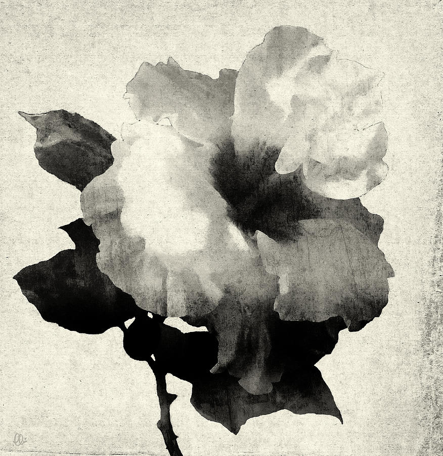 Vintage Mixed Media - Art Is The Hibiscus -Black and White by Stacey Chiew