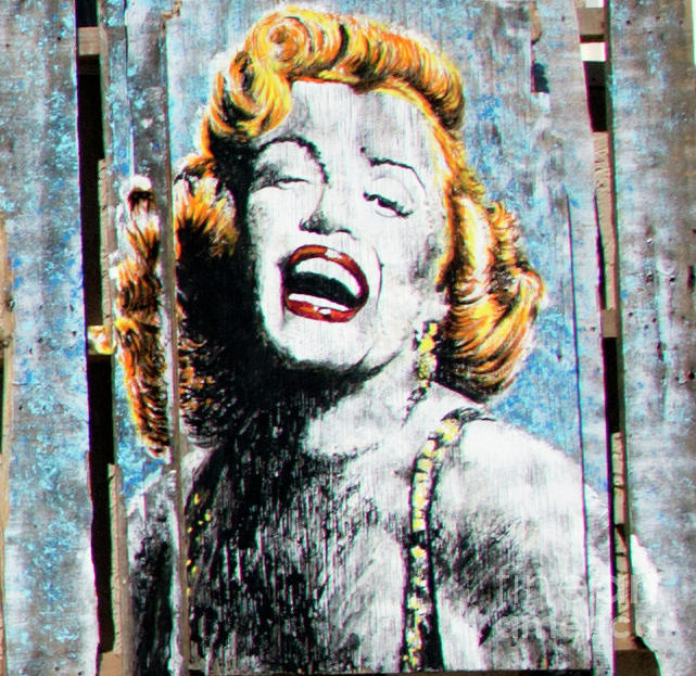 Art Marilyn Monroe Wood Fence  Photograph by Chuck Kuhn