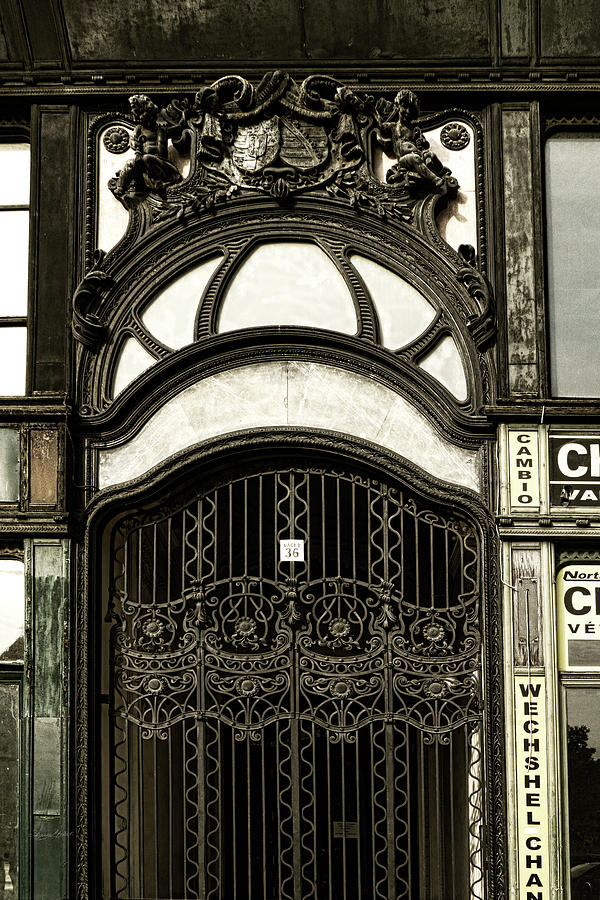 Art Nouveau Door Budapest Photograph by Sharon Popek