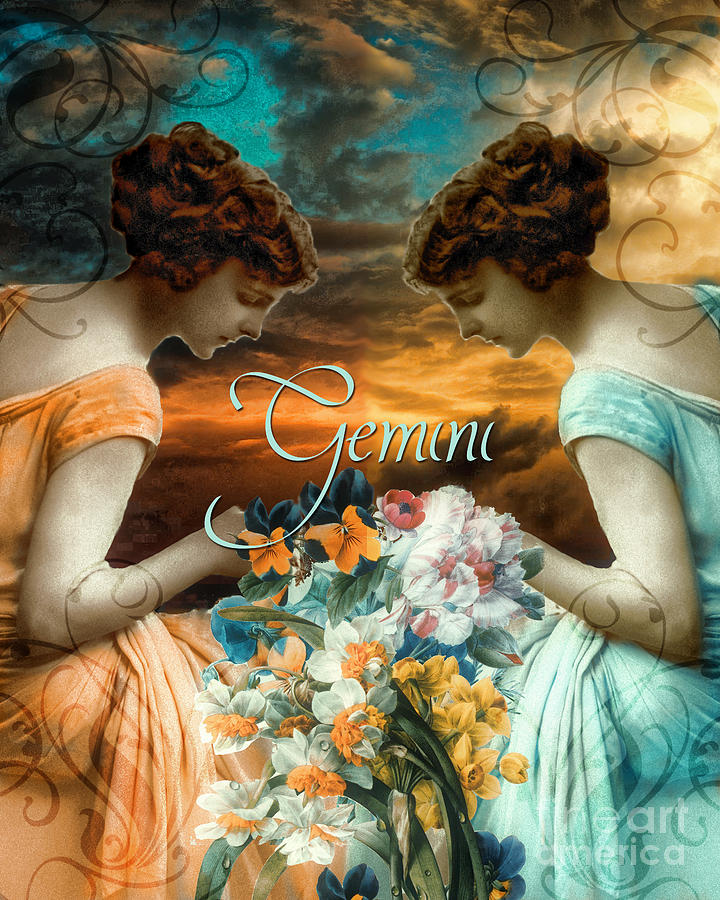 The Gemini Twins  Gemini art, Star sign art, Zodiac art