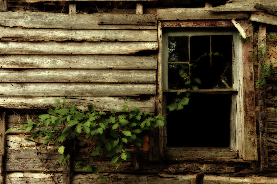 Still Life Photograph - Art of Abandonment by Rick Martin Still Life Photograph - Art of Abandonment by Rick Martin