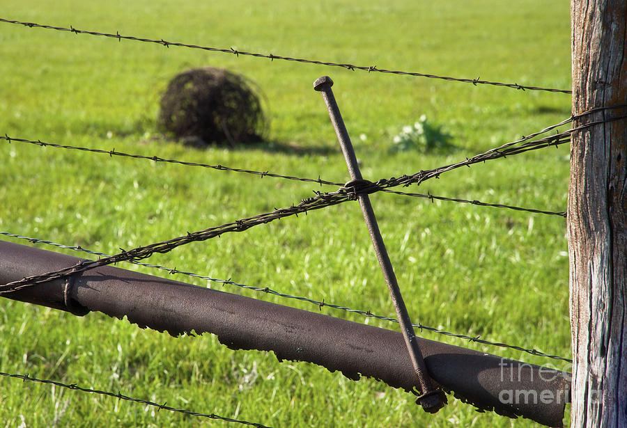 Art of Fencing Photograph by Fred Lassmann