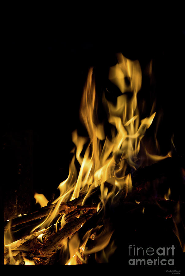 Art Of Fire Photograph by Jennifer White