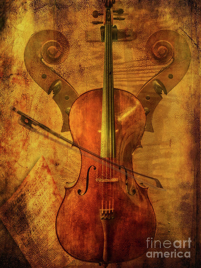 Art Of The Cello Photograph by John Anderson
