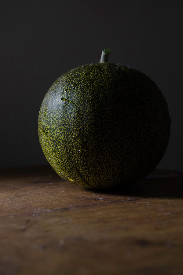 Art of the Melon Photograph by Rae Ann  M Garrett