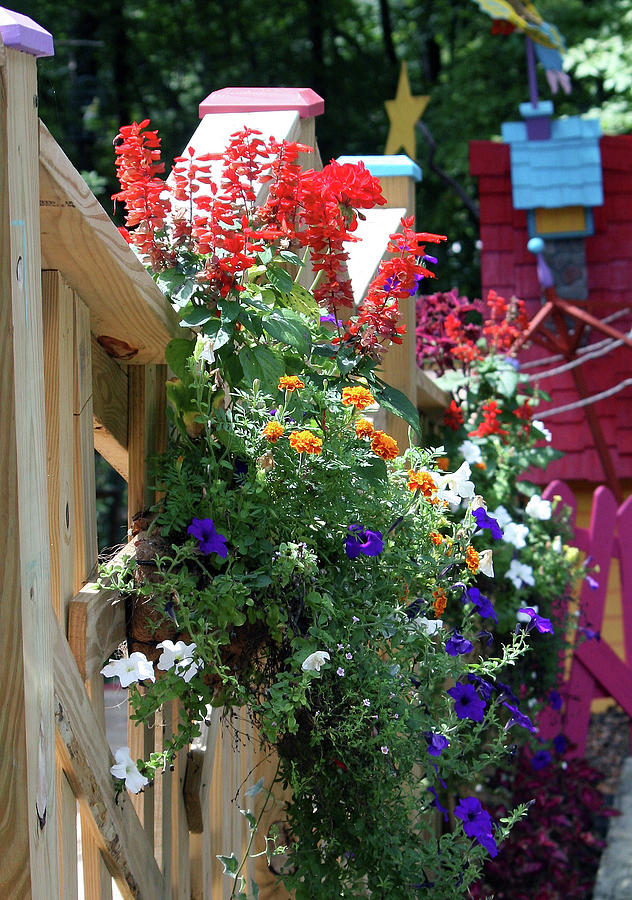 Art on a Fence by Shirley Roberson Art on a Fence by Shirley Roberson