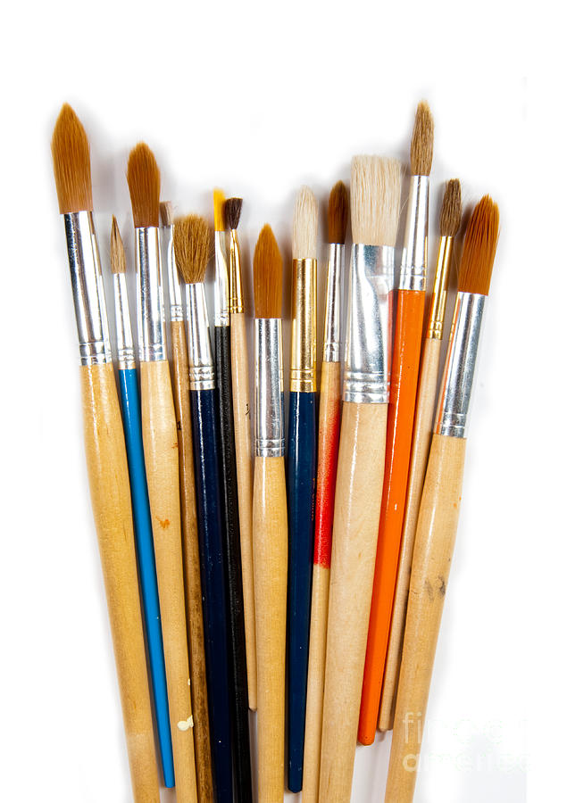 Art Paint Brushes Photograph by Anthony Totah