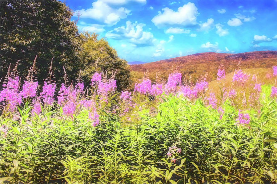 Summer Digital Art - Art photo of Vermont rolling hills with pink flowers in the foreground by Rusty R Smith