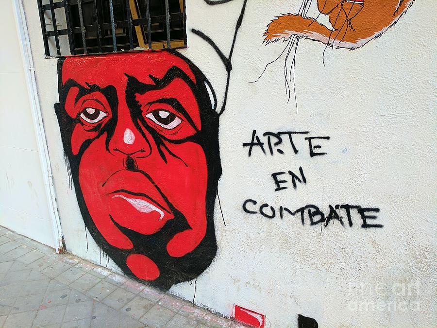Arte en combate Photograph by Julie Pacheco-Toye