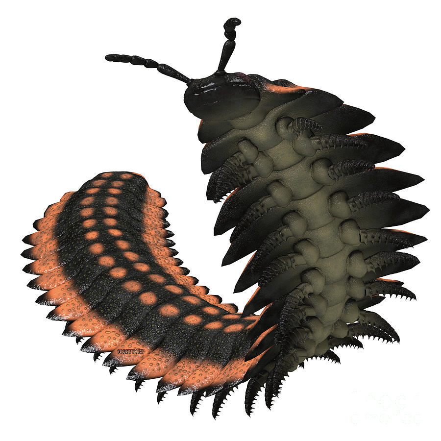Arthropleura on White Painting by Corey Ford