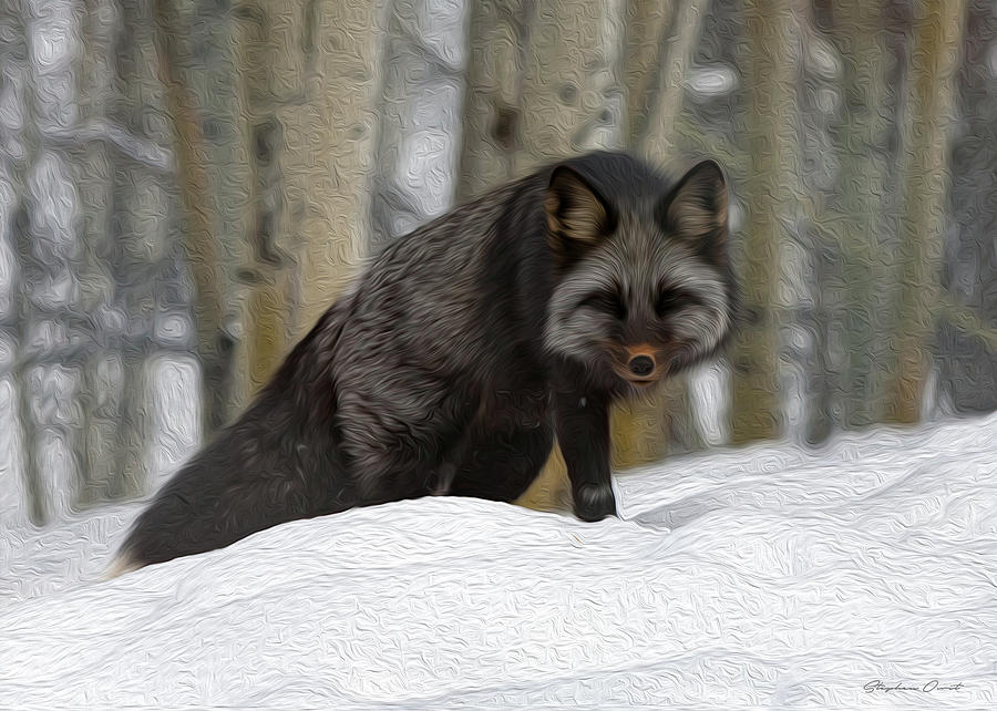 Arctic Fox - Digital Oil Digital Art by Birdly Canada