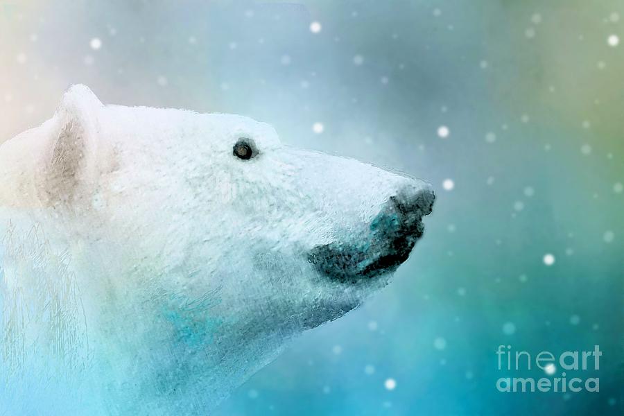 Polar Bear Photograph - Artic Polar Bear by Janette Boyd